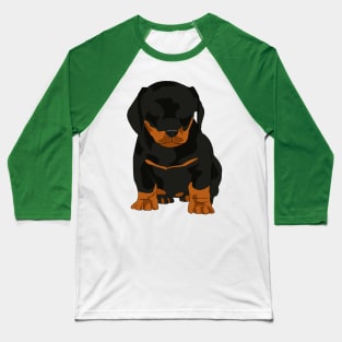 Companion No 4 - Full Color Baseball T-Shirt